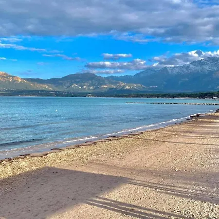 Cosy Avec Terrasse A 100m De La - - Fr-1-63-278 Calvi (Corsica)